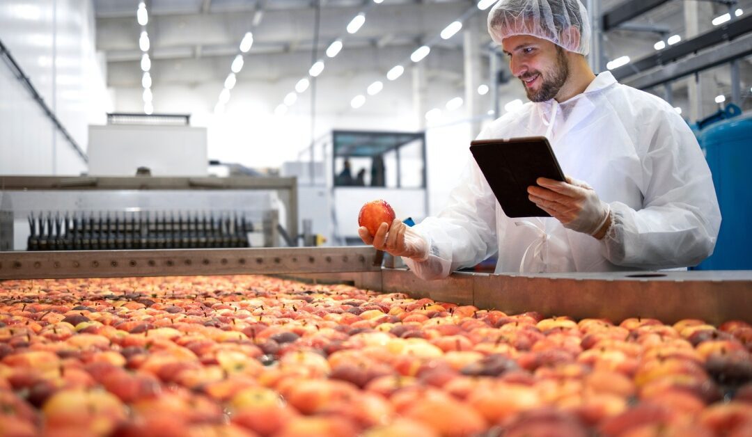 Technologist in food processing factory monitoring the selection and production process of apples, ensuring quality control.